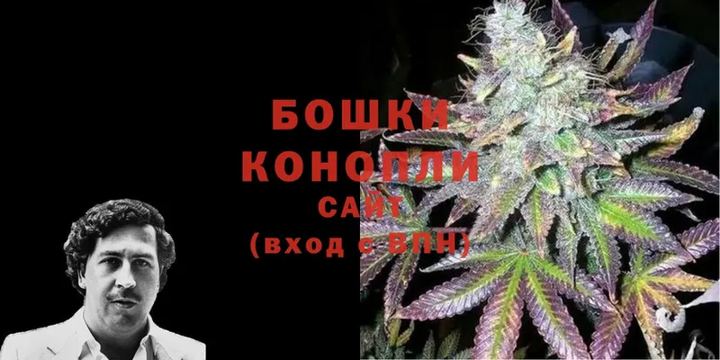 Бошки Шишки Ganja  где можно купить наркотик  Заречный 